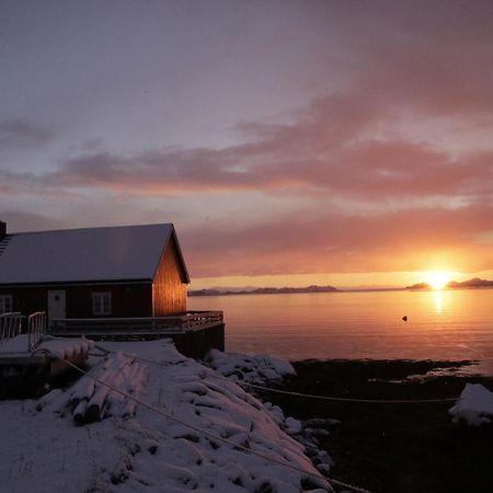 فيلا Solodden, Authentic Rorbu In Lofoten Sennesvik المظهر الخارجي الصورة