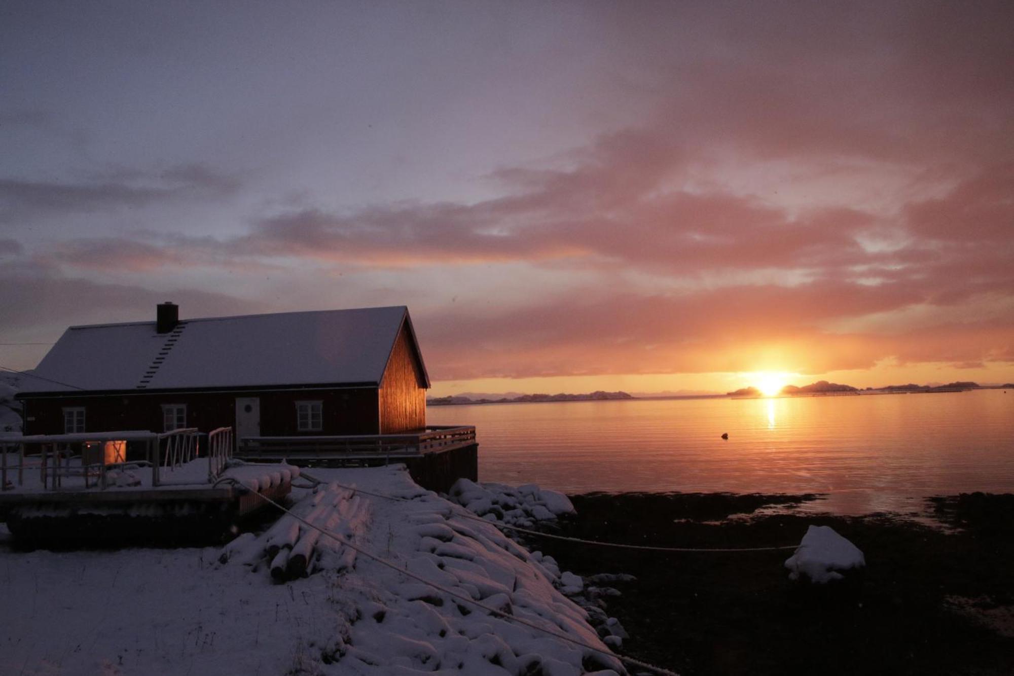 فيلا Solodden, Authentic Rorbu In Lofoten Sennesvik المظهر الخارجي الصورة